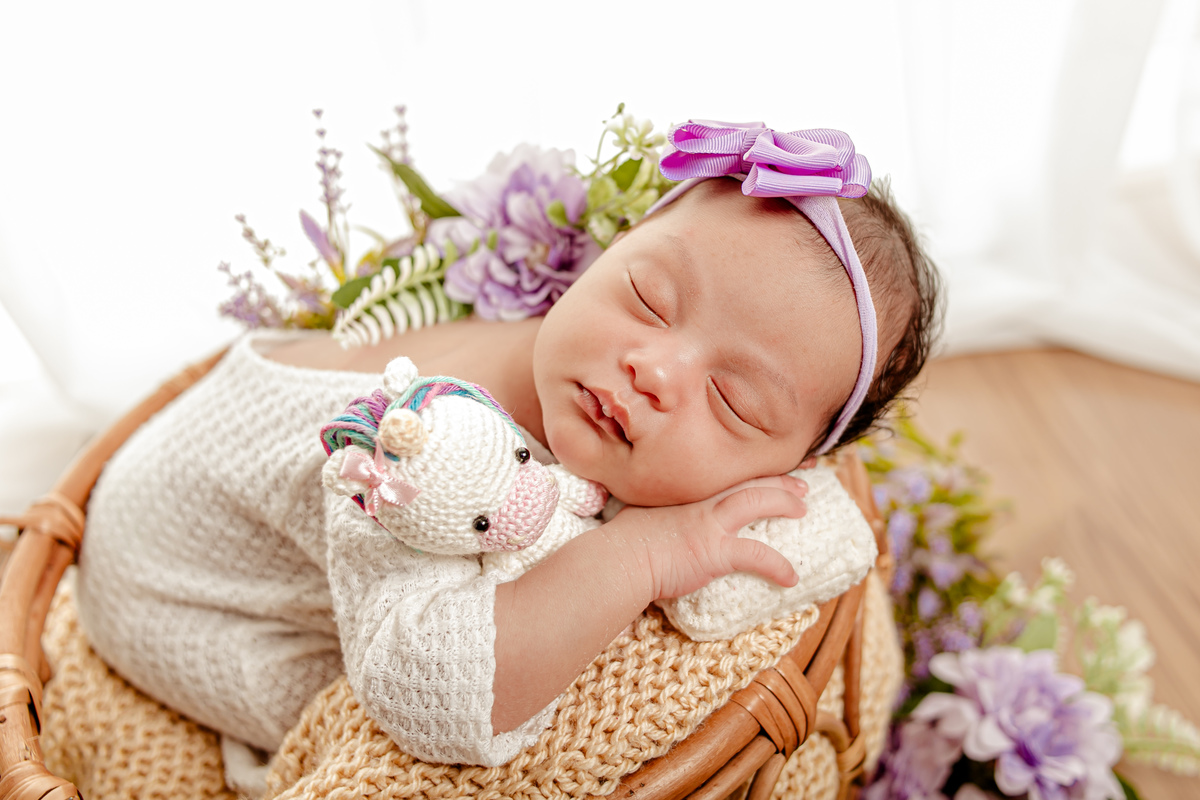 newborn menina flor princesa família irmão irmã irmãos lilás rosa vermelho Deus divina amigurumi niterói região oceânica rio de janeiro recém nascido ensaio fotográfico fotografia retrato