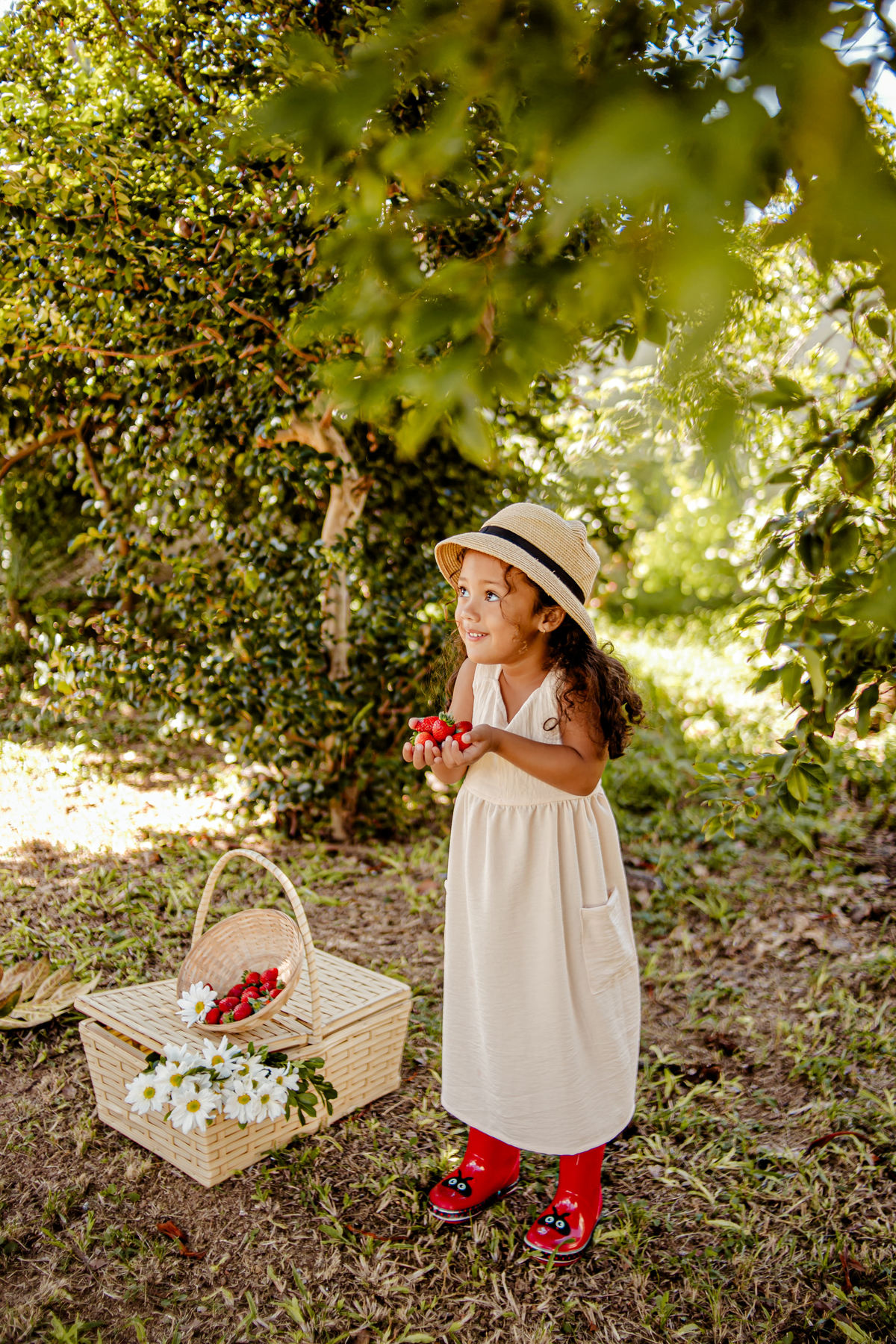 picnic aniversário b-day bday happy birthday celebração floresta morango croissant ursinho urso livro leitura sonho boho rústico ensaio externo fotografia foto retrato Niterói Itaipu Rio de Janeiro