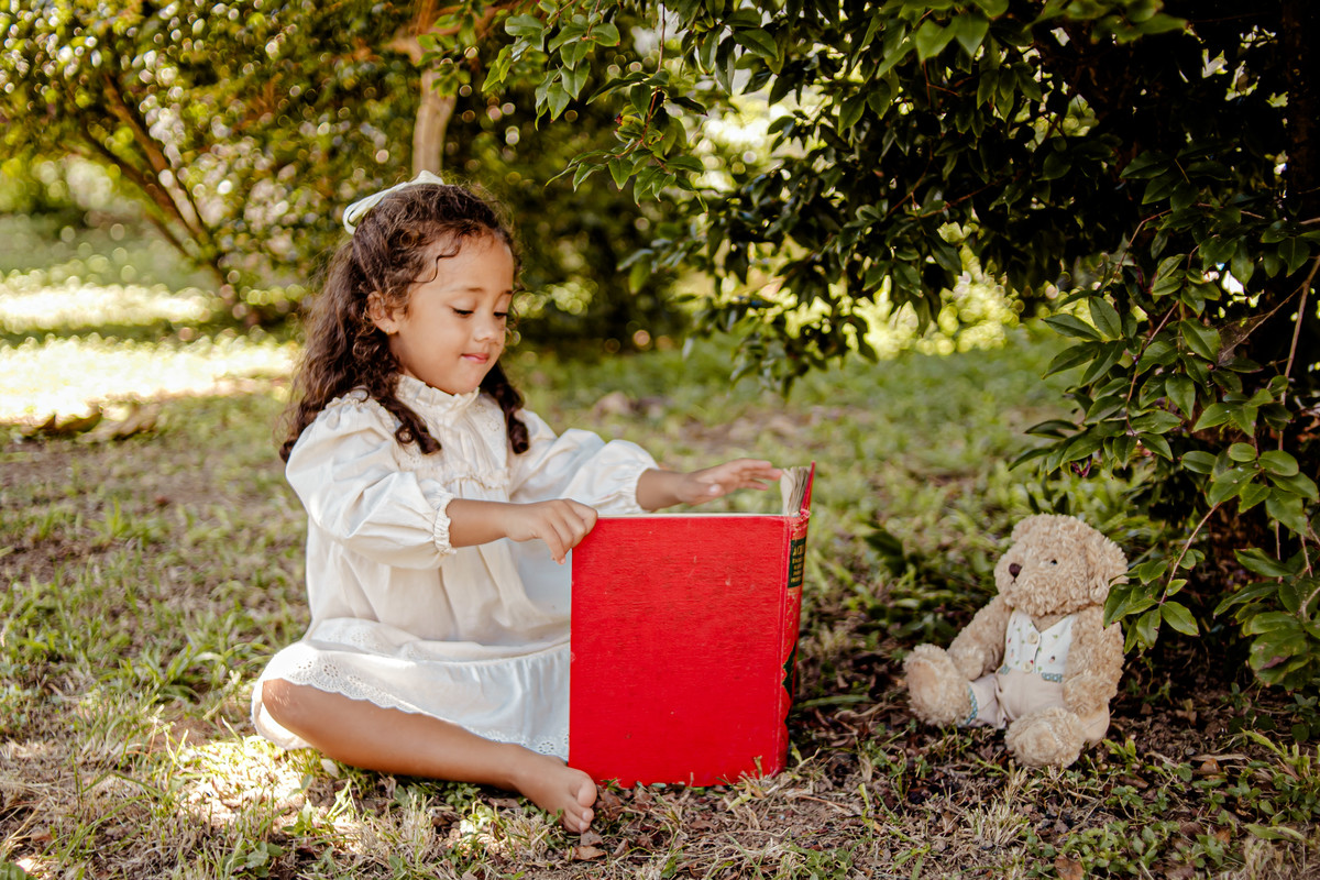 picnic aniversário b-day bday happy birthday celebração floresta morango croissant ursinho urso livro leitura sonho boho rústico ensaio externo fotografia foto retrato Niterói Itaipu Rio de Janeiro