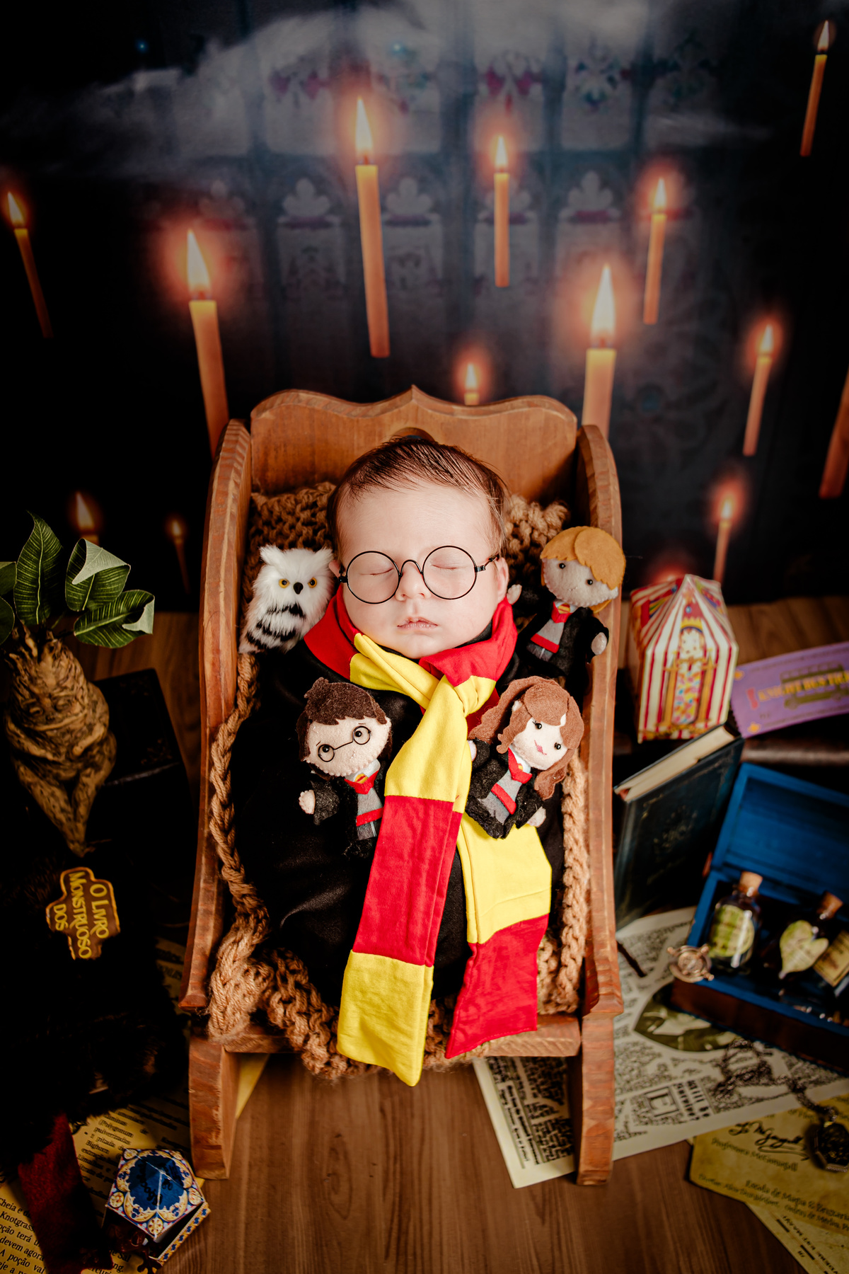newborn recém nascido bebê irmã irmãos família Deus religião pai bombeiros harry potter praia praiano surfista jiu-jitsu judô amigurumi crochê floresta arca de noé rapoza advogado juiz lei terço Itaipu Região Oceânica Niterói Rio de Janeiro