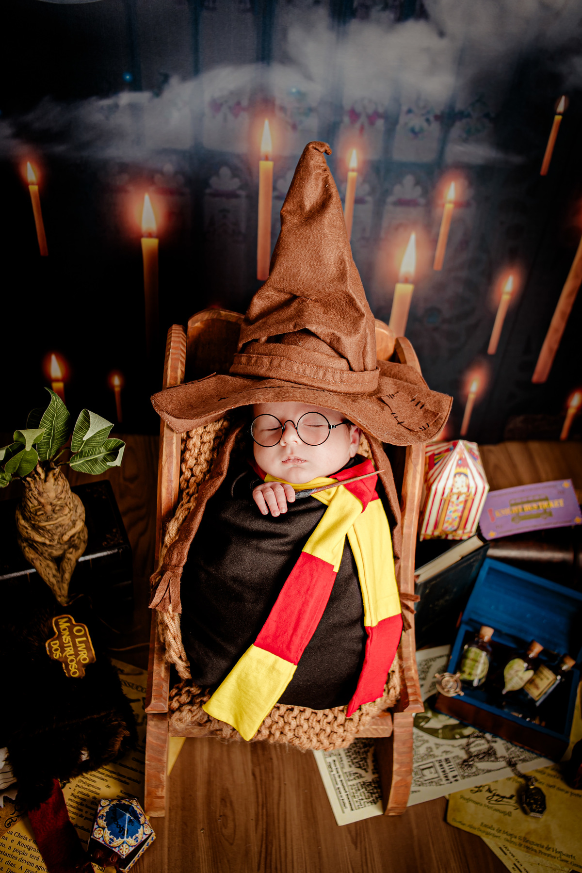 newborn recém nascido bebê irmã irmãos família Deus religião pai bombeiros harry potter praia praiano surfista jiu-jitsu judô amigurumi crochê floresta arca de noé rapoza advogado juiz lei terço Itaipu Região Oceânica Niterói Rio de Janeiro