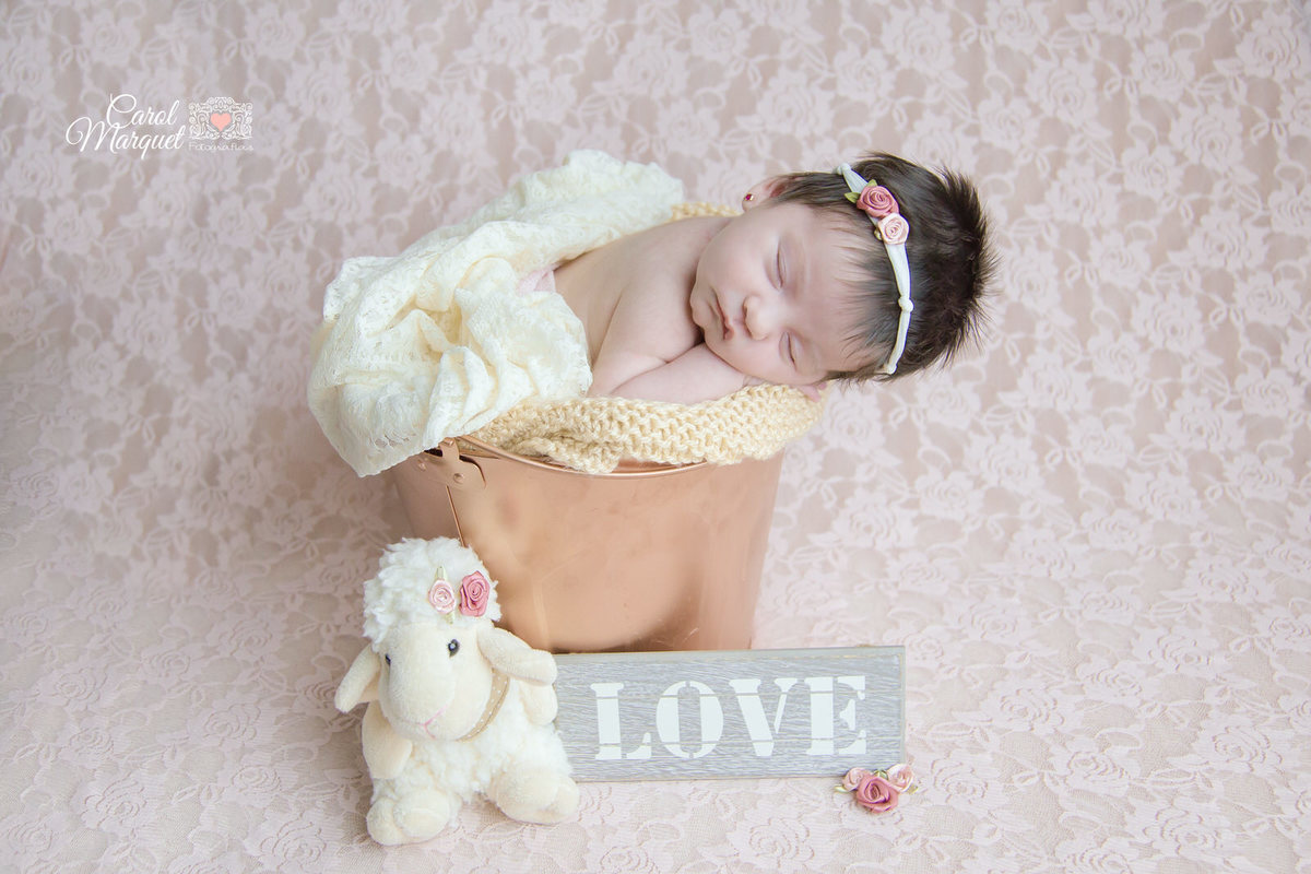 newborn ninho flores recém nascido Niterói ovelha