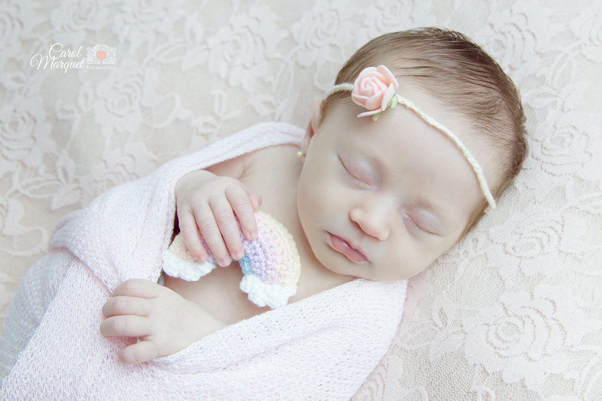 newborn menina Niterói Rio de Janeiro Ensaio Fotográfico Família irmã irmãs princesa flores amor