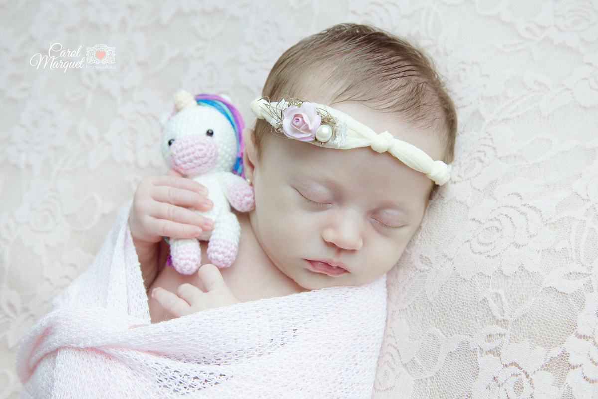 newborn menina Niterói Rio de Janeiro Ensaio Fotográfico Família irmã irmãs princesa flores amor