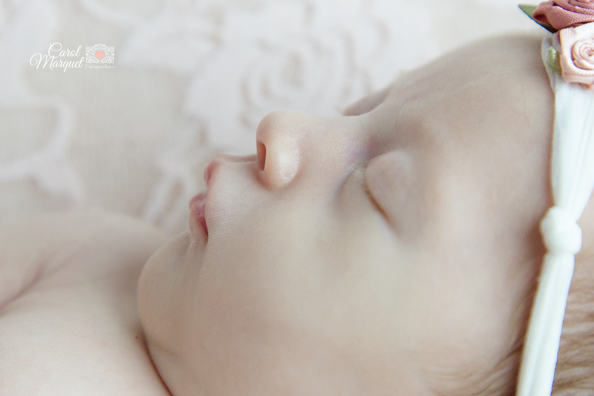 newborn menina Niterói Rio de Janeiro Ensaio Fotográfico Família irmã irmãs princesa flores amor