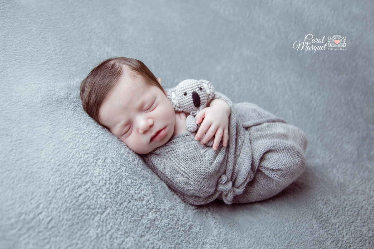 newborn menino niterói floresta animais coala rio de janeiro família fotografia