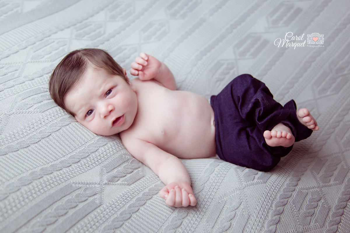 newborn menino niterói floresta animais coala rio de janeiro família fotografia