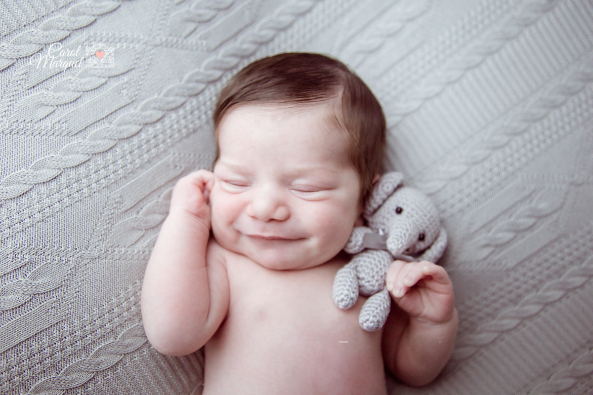newborn menino niterói floresta animais coala rio de janeiro família fotografia