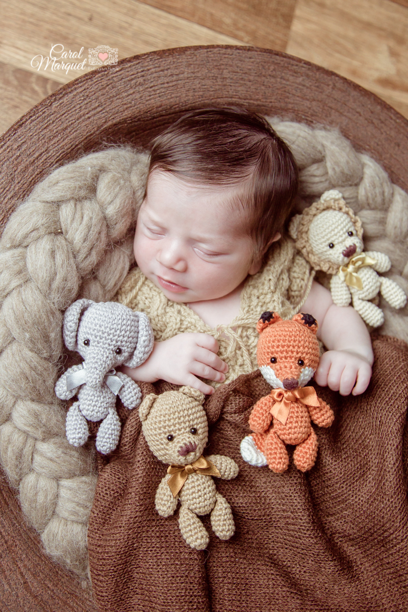 newborn menino niterói floresta animais coala rio de janeiro família fotografia