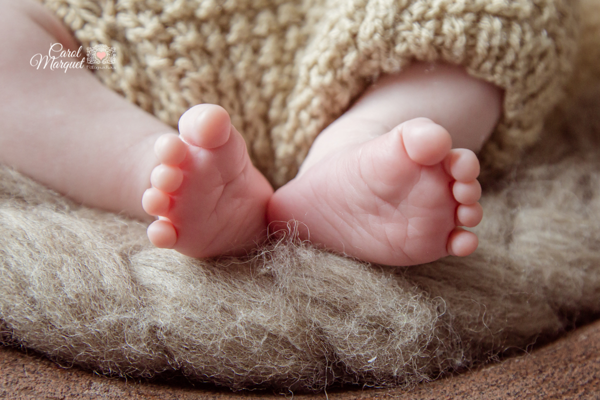 newborn menino niterói floresta animais coala rio de janeiro família fotografia