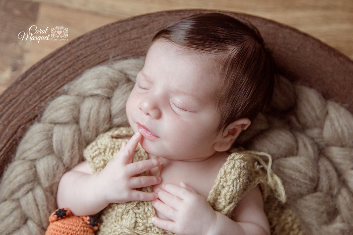 newborn menino niterói floresta animais coala rio de janeiro família fotografia