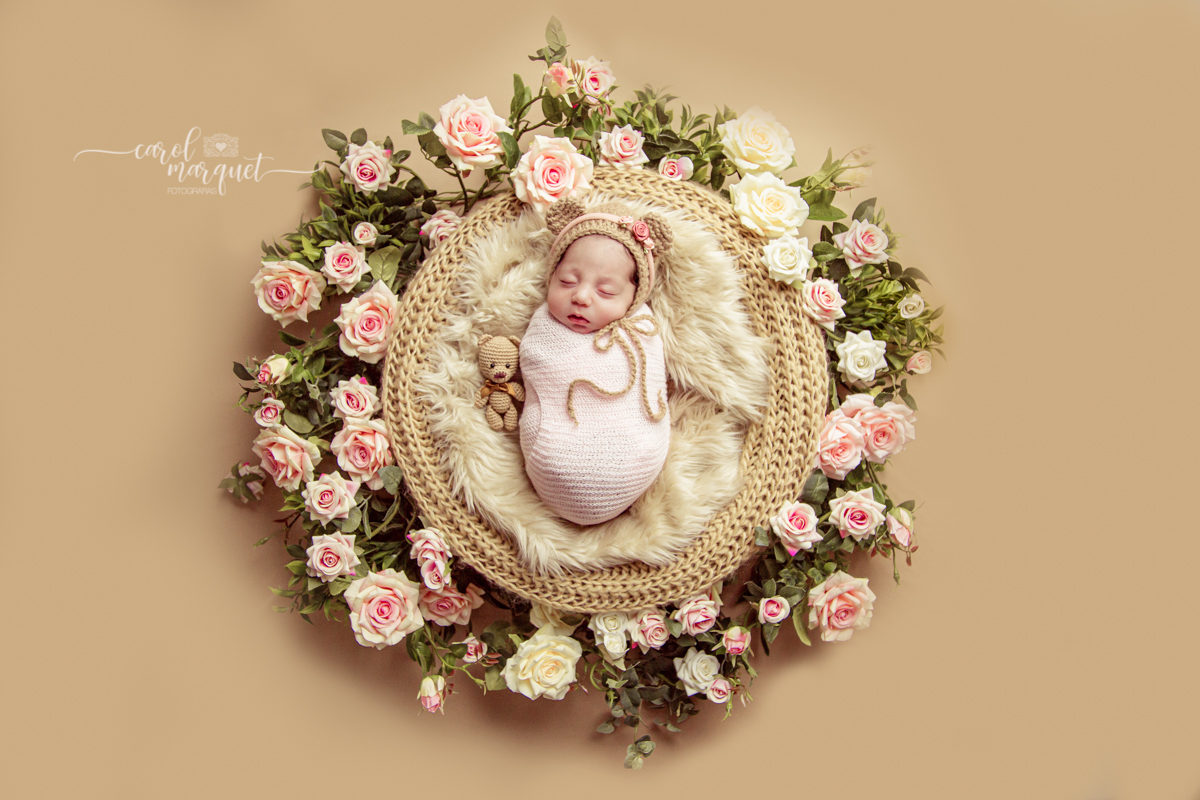 newborrn recém nascido Niterói Rio de Janeiro fotografia retrato princesa menina flor floresta bebê casulo bichinho amigurumi flores plantas família