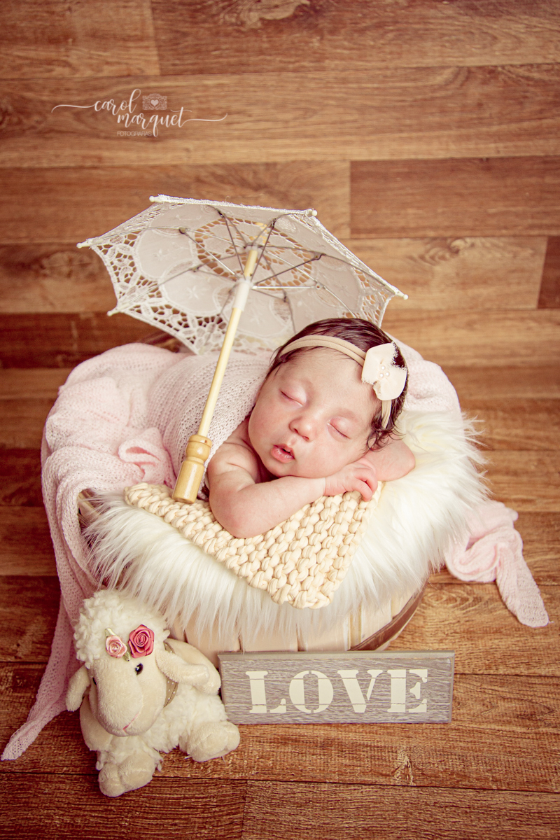 newborrn recém nascido Niterói Rio de Janeiro fotografia retrato princesa menina flor floresta bebê casulo bichinho amigurumi flores plantas família