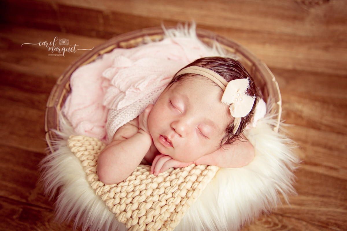 newborrn recém nascido Niterói Rio de Janeiro fotografia retrato princesa menina flor floresta bebê casulo bichinho amigurumi flores plantas família