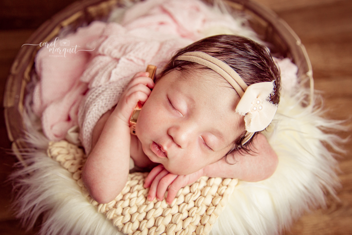 newborrn recém nascido Niterói Rio de Janeiro fotografia retrato princesa menina flor floresta bebê casulo bichinho amigurumi flores plantas família
