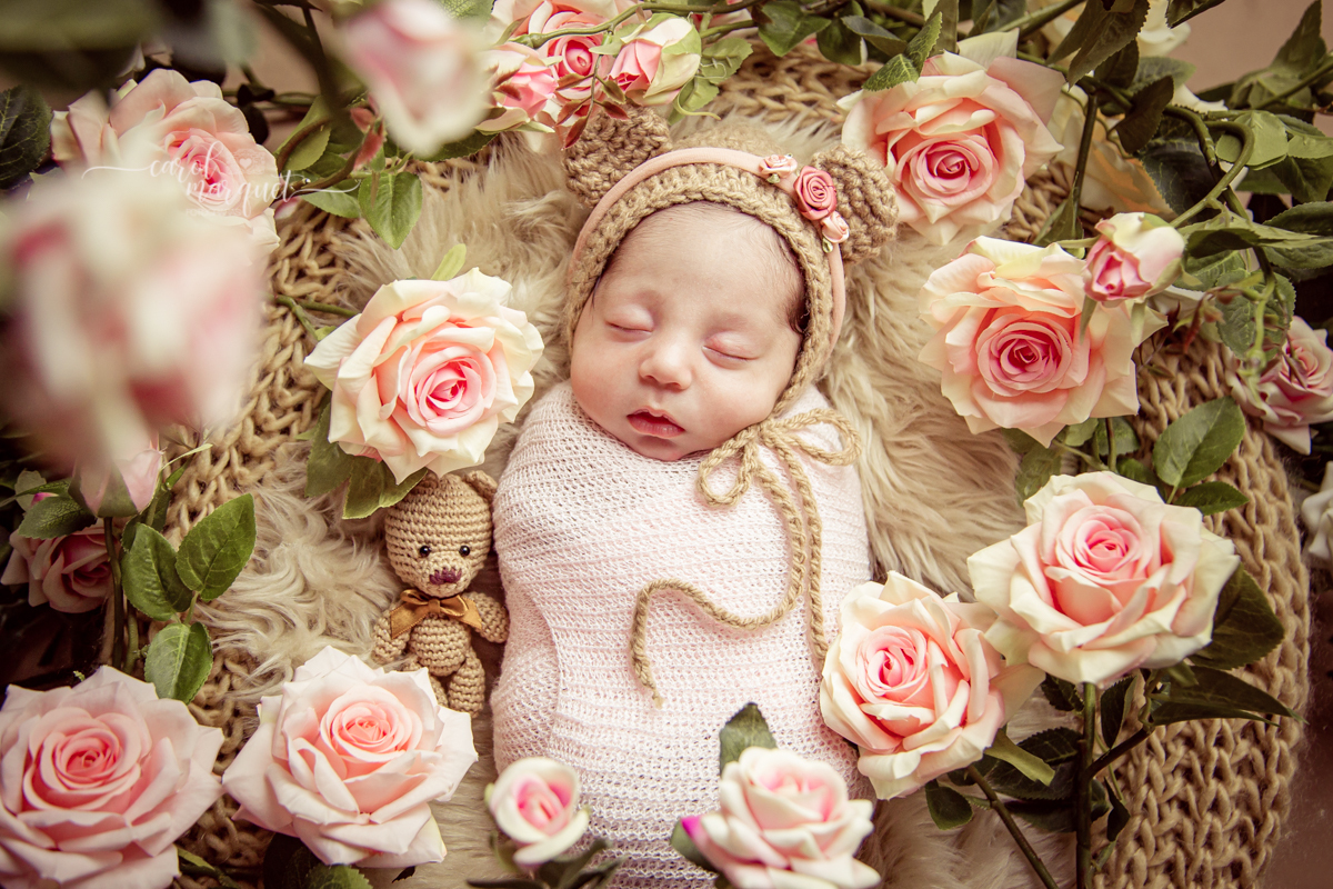 newborrn recém nascido Niterói Rio de Janeiro fotografia retrato princesa menina flor floresta bebê casulo bichinho amigurumi flores plantas família