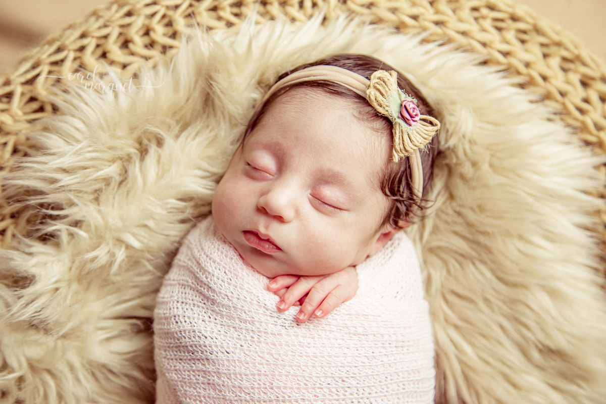 newborrn recém nascido Niterói Rio de Janeiro fotografia retrato princesa menina flor floresta bebê casulo bichinho amigurumi flores plantas família