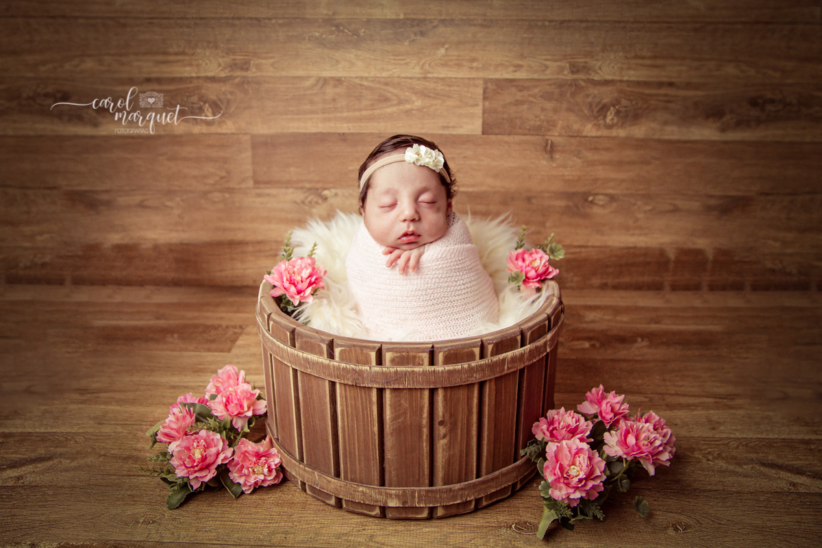 newborrn recém nascido Niterói Rio de Janeiro fotografia retrato princesa menina flor floresta bebê casulo bichinho amigurumi flores plantas família