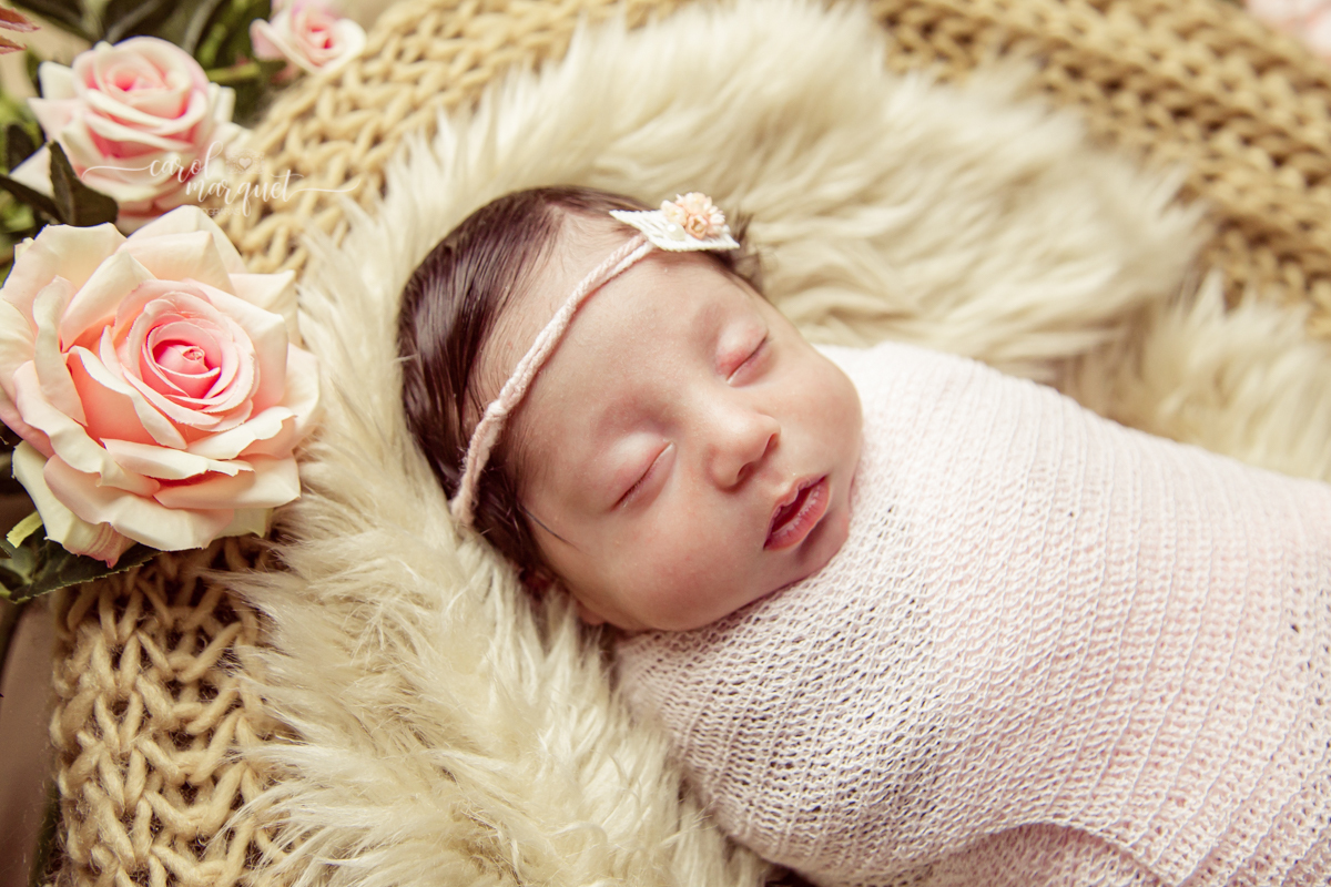 newborn recém nascido Niterói Rio de Janeiro fotografia retrato princesa menina flor floresta bebê casulo bichinho amigurumi flores plantas família