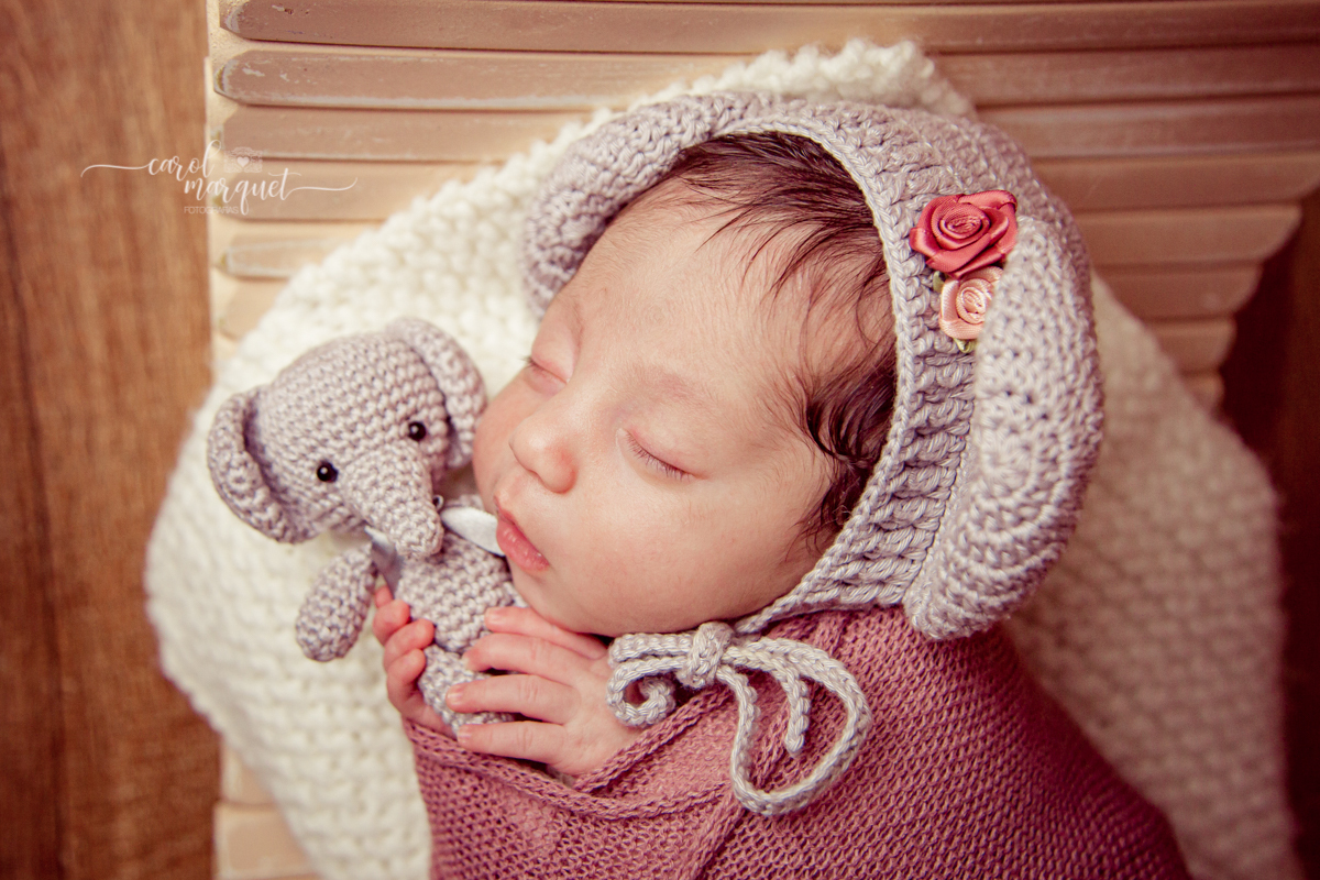 newborrn recém nascido Niterói Rio de Janeiro fotografia retrato princesa menina flor floresta bebê casulo bichinho amigurumi flores plantas família