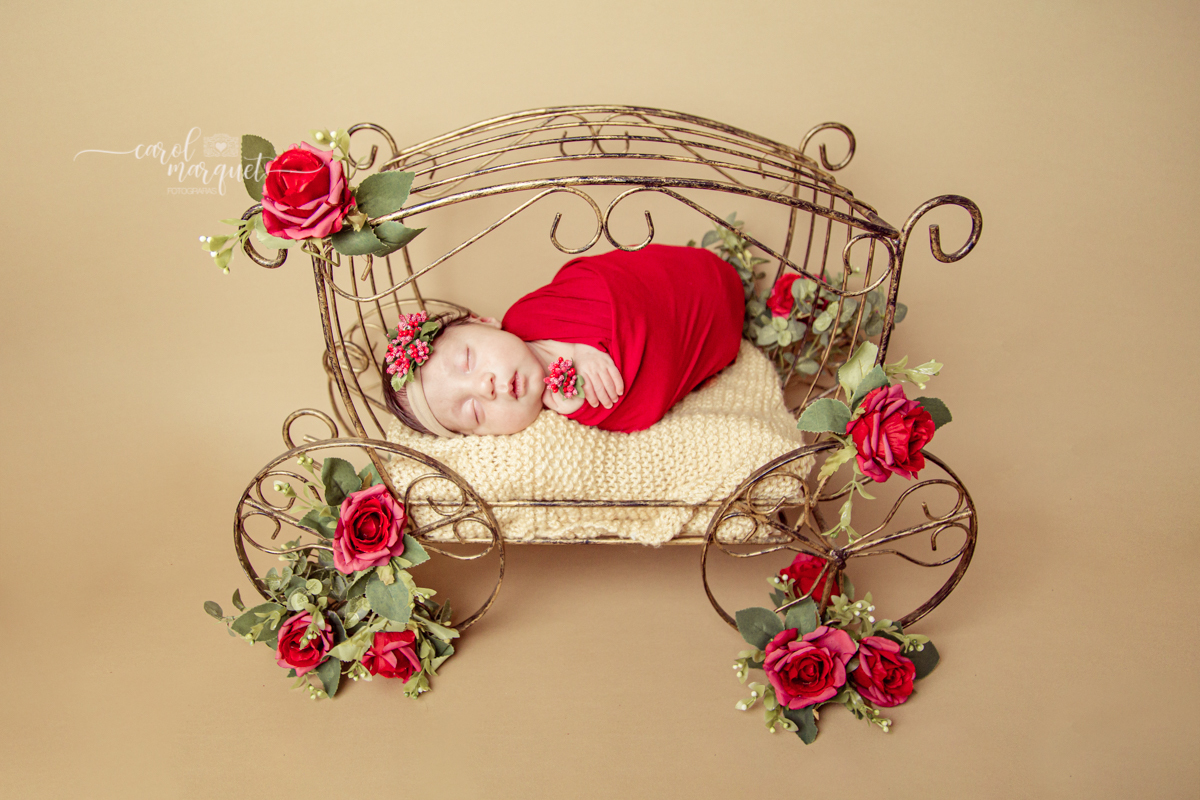newborrn recém nascido Niterói Rio de Janeiro fotografia retrato princesa menina flor floresta bebê casulo bichinho amigurumi flores plantas família