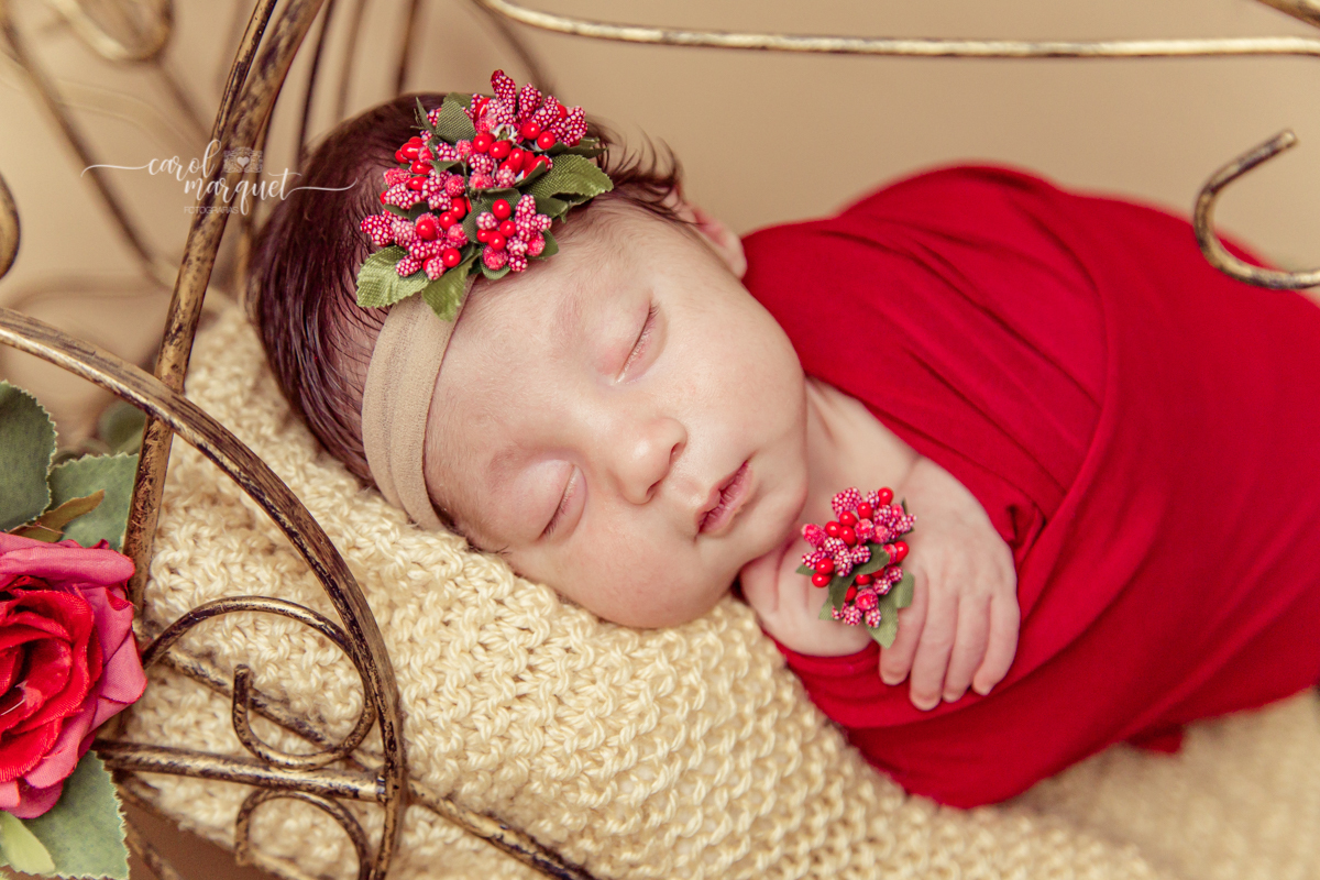 newborrn recém nascido Niterói Rio de Janeiro fotografia retrato princesa menina flor floresta bebê casulo bichinho amigurumi flores plantas família