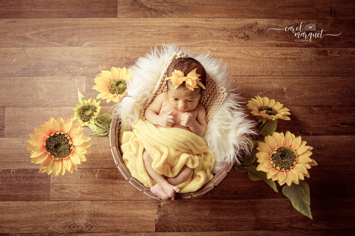 newborn recém nascidos fotografia retrato família flor floresta jardim boneca Rio de Janeiro Niterói