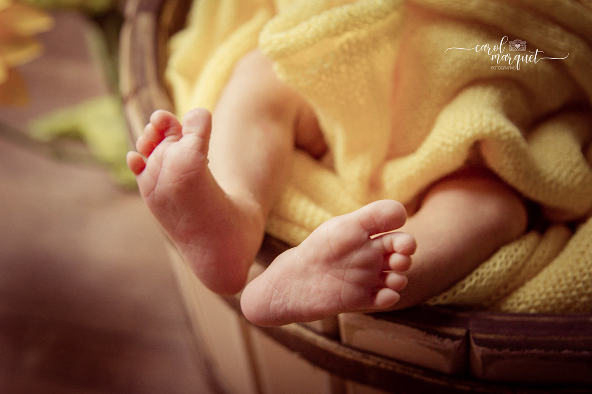 newborn recém nascidos fotografia retrato família flor floresta jardim boneca Rio de Janeiro Niterói