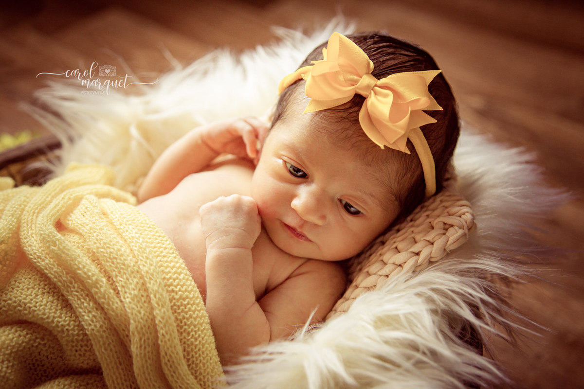 newborn recém nascidos fotografia retrato família flor floresta jardim boneca Rio de Janeiro Niterói