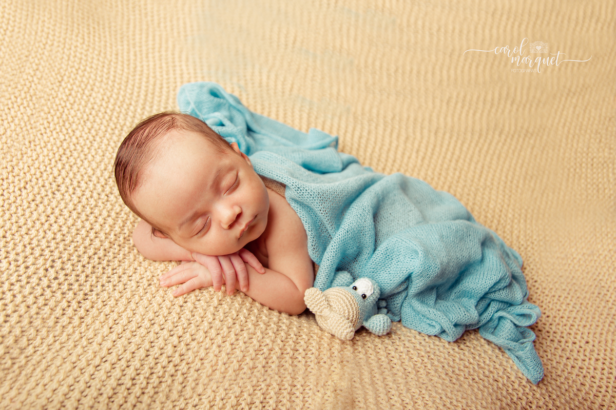 sommelier mirim vinho newborn recém nascido bebê fotografia retrato família Niterói Rio de Janeiro