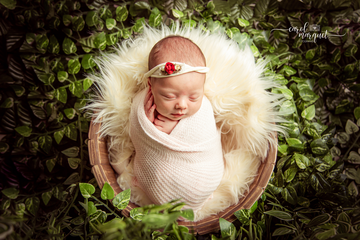 newborn recém nascido fotografia família flor ursinho amigurumi floresta jardim Niterói Rio de Janeiro