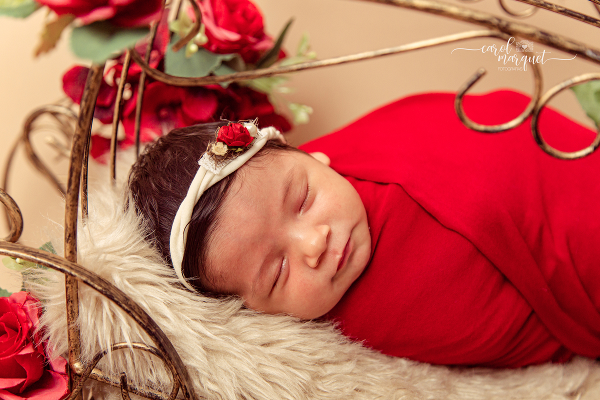 newborn recém nascido fotografia retrato Niterói Rio de Janeiro flores jardim floresta pastor menina família 