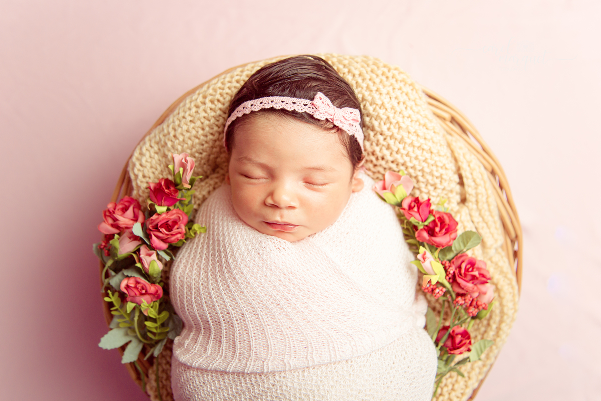 newborn recém nascido fotografia retrato Niterói Rio de Janeiro flores jardim floresta pastor menina família 