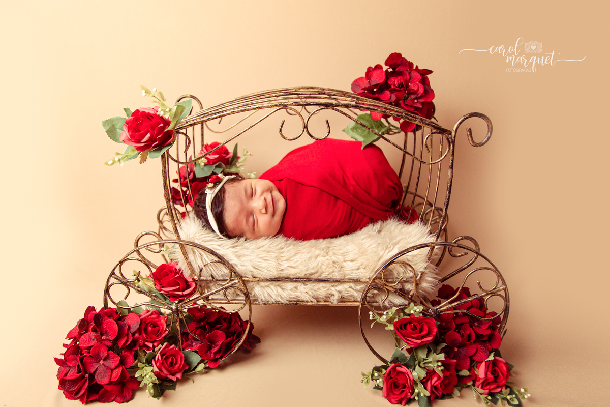 newborn recém nascido fotografia retrato Niterói Rio de Janeiro flores jardim floresta pastor menina família 