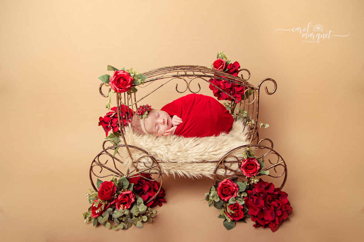 newborn recém nascido fotografia retrato ensaio infantil flores princesa amigurumi floresta encantada jardim