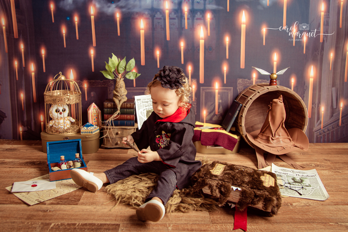 magia mágica mandrágora chapéu seletor pomo de ouro edwirges mapa do maroto poção varinha capa quadriball