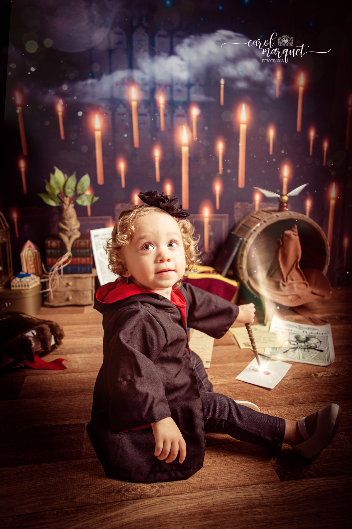 magia mágica mandrágora chapéu seletor pomo de ouro edwirges mapa do maroto poção varinha capa quadriball efeito fairy tale