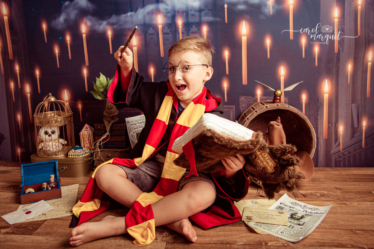 magia mágica mandrágora chapéu seletor pomo de ouro edwirges mapa do maroto poção varinha capa quadriball