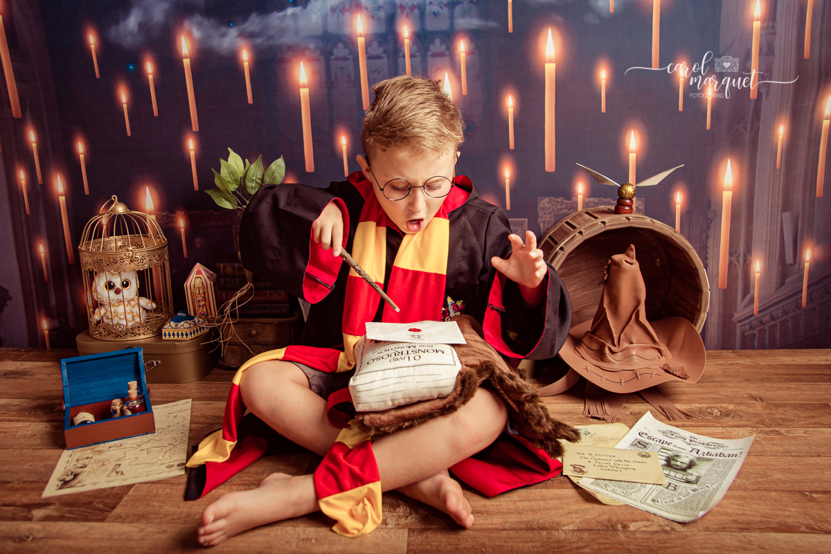 magia mágica mandrágora chapéu seletor pomo de ouro edwirges mapa do maroto poção varinha capa quadriball