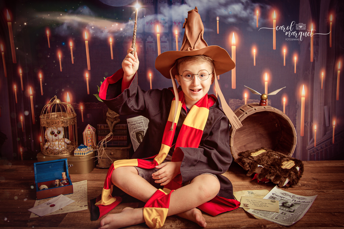 magia mágica mandrágora chapéu seletor pomo de ouro edwirges mapa do maroto poção varinha capa quadriball efeito fairy tale