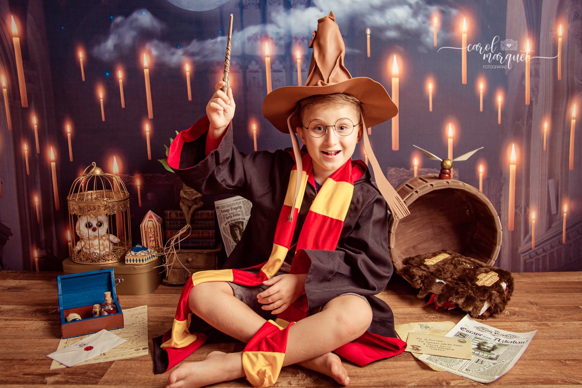 magia mágica mandrágora chapéu seletor pomo de ouro edwirges mapa do maroto poção varinha capa quadriball