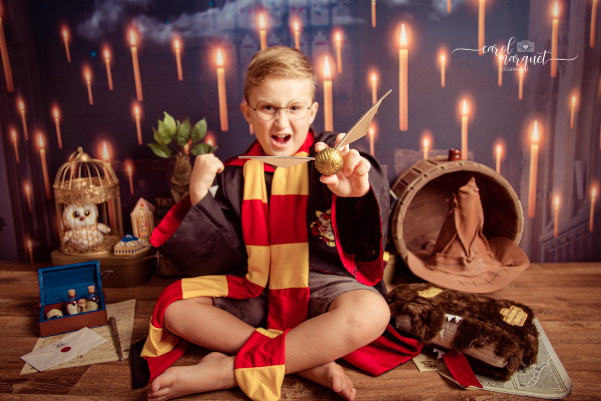 magia mágica mandrágora chapéu seletor pomo de ouro edwirges mapa do maroto poção varinha capa quadriball