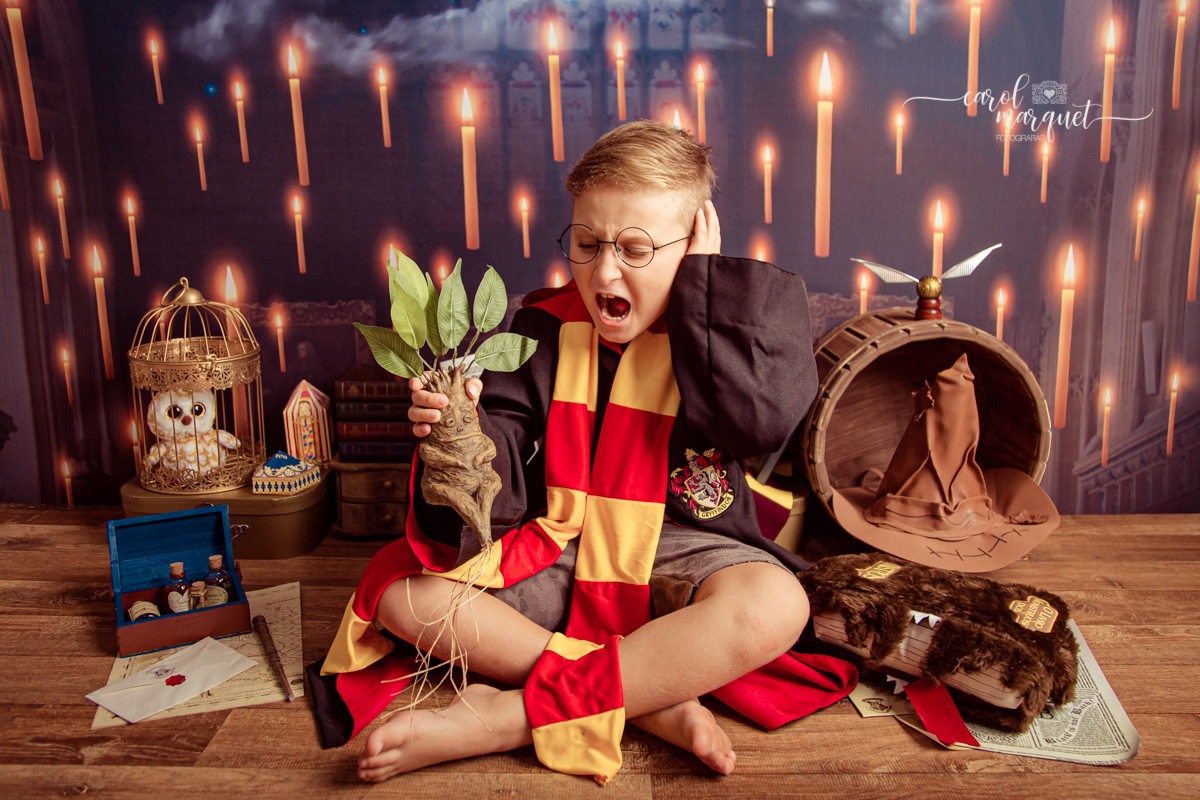 magia mágica mandrágora chapéu seletor pomo de ouro edwirges mapa do maroto poção varinha capa quadriball