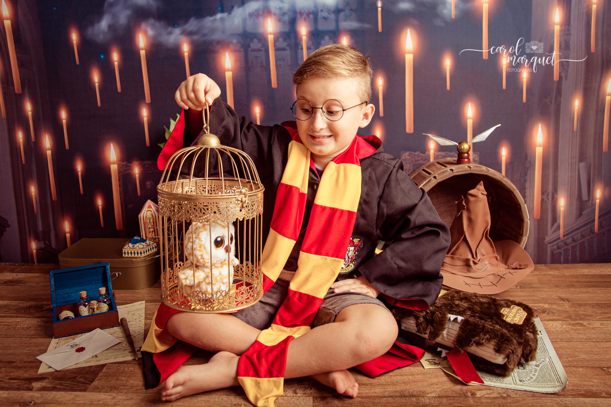 magia mágica mandrágora chapéu seletor pomo de ouro edwirges mapa do maroto poção varinha capa quadriball