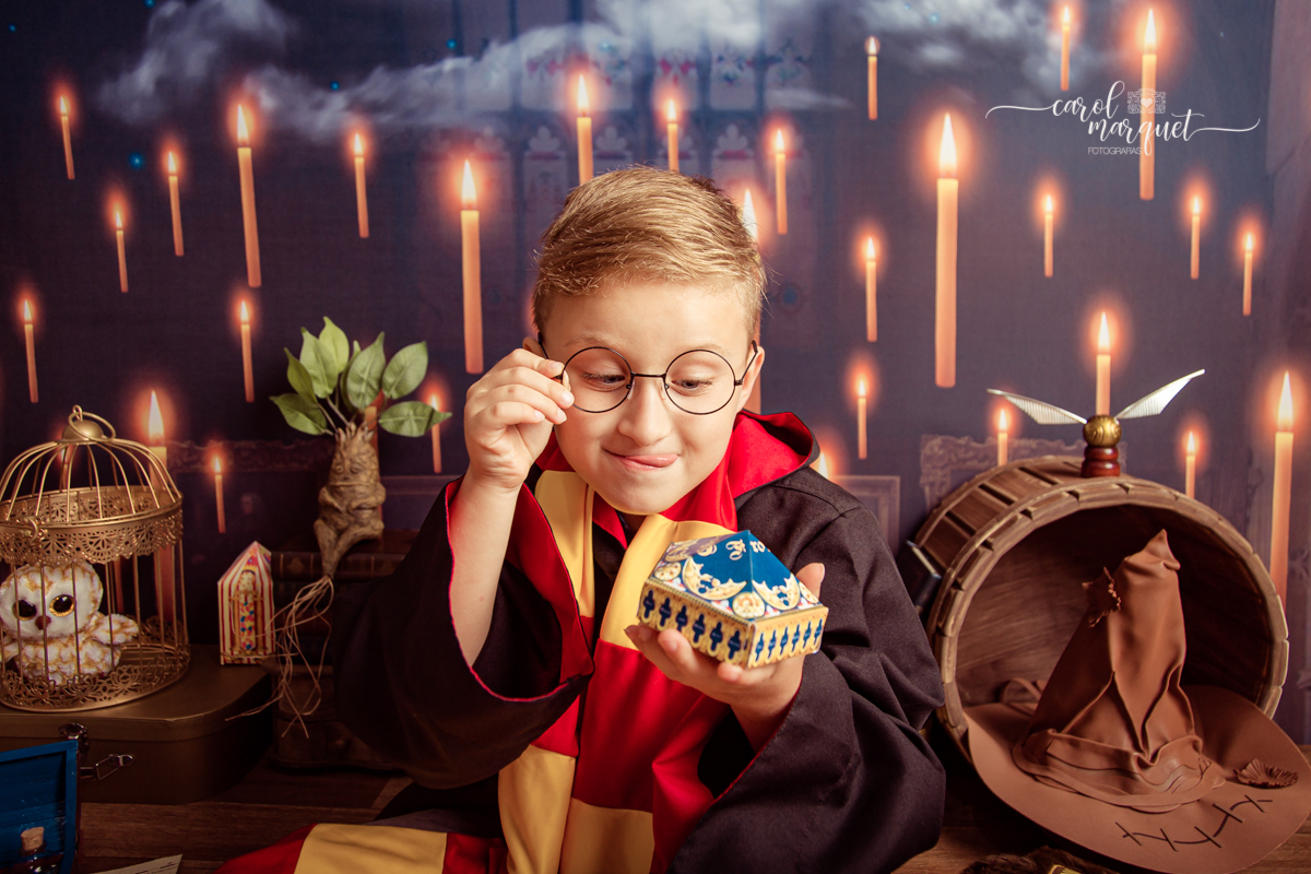 magia mágica mandrágora chapéu seletor pomo de ouro edwirges mapa do maroto poção varinha capa quadriball