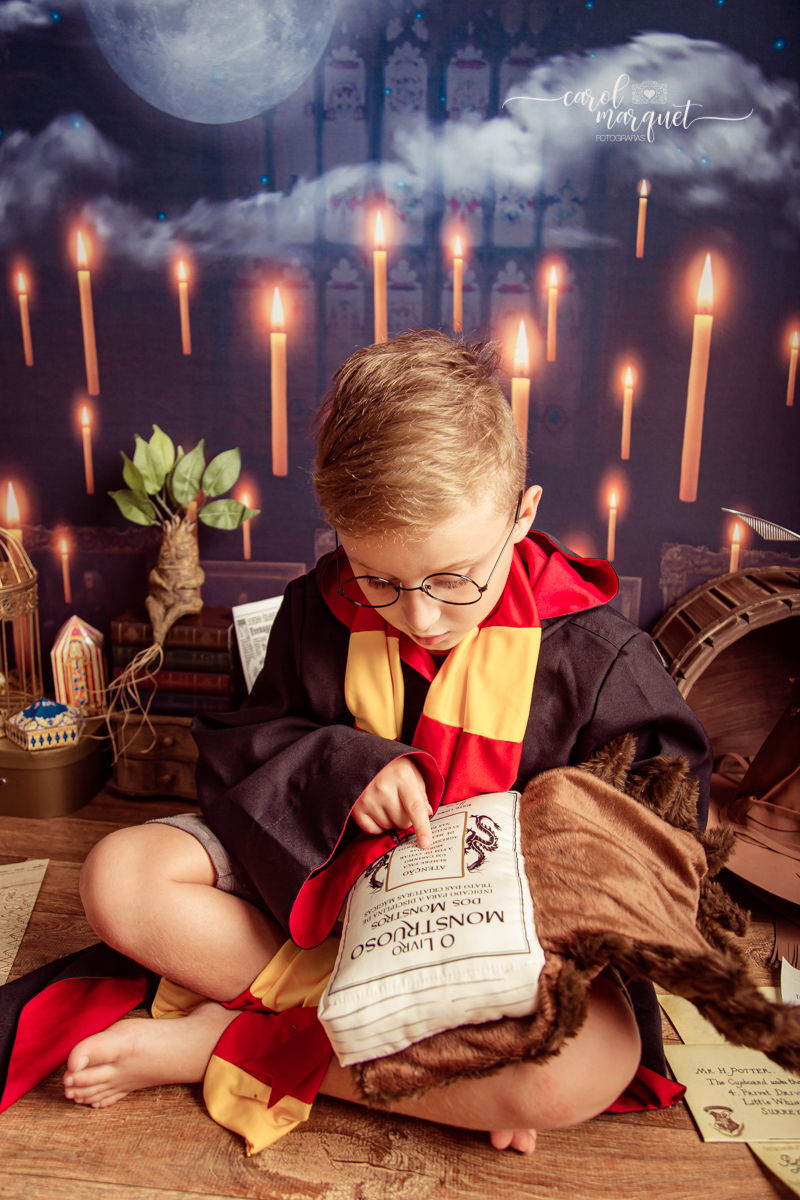 magia mágica mandrágora chapéu seletor pomo de ouro edwirges mapa do maroto poção varinha capa quadriball