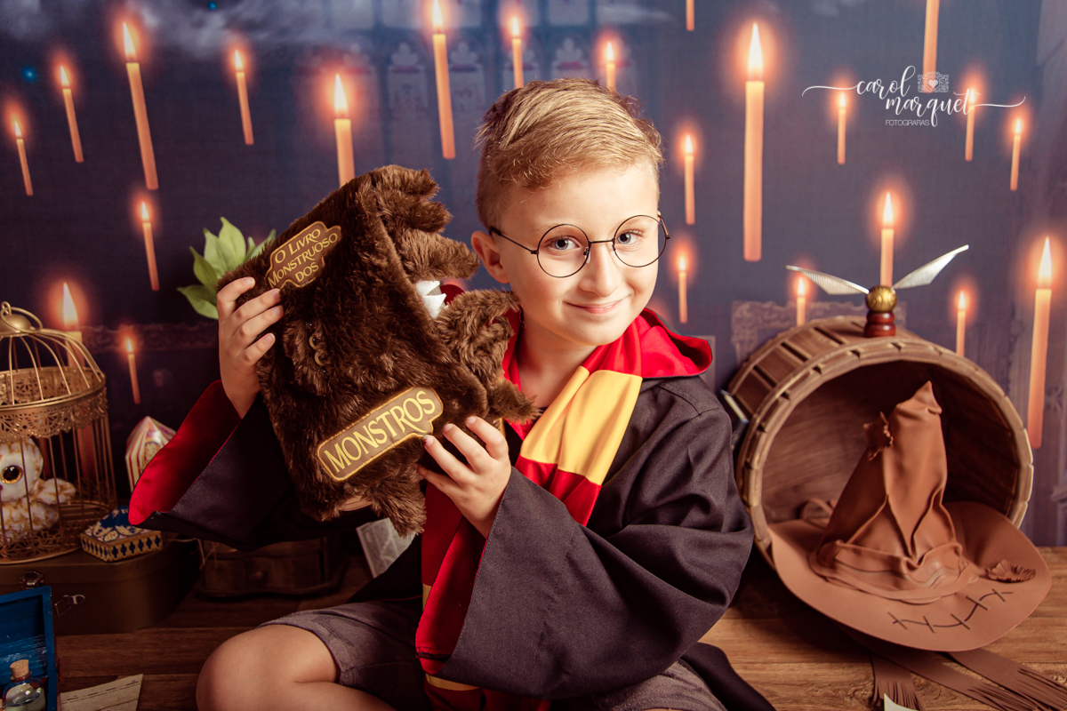 magia mágica mandrágora chapéu seletor pomo de ouro edwirges mapa do maroto poção varinha capa quadriball