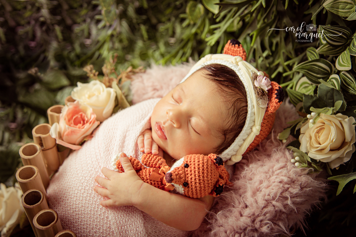 newborn recém nascido irmãos menina princesa flores floresta jardim autismo amigurumi chapeuzinho família Niterói Ensaio fotográfico