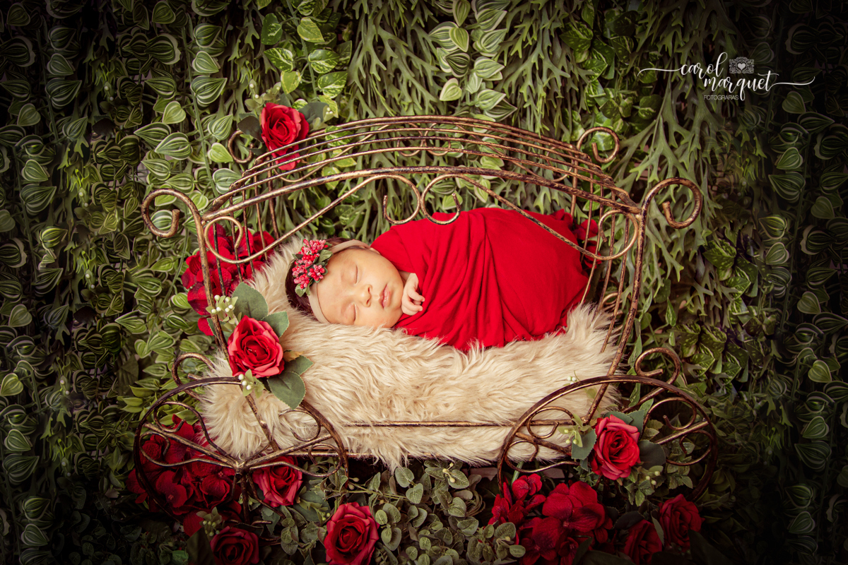 newborn recém nascido irmãos menina princesa flores floresta jardim autismo amigurumi chapeuzinho família Niterói Ensaio fotográfico