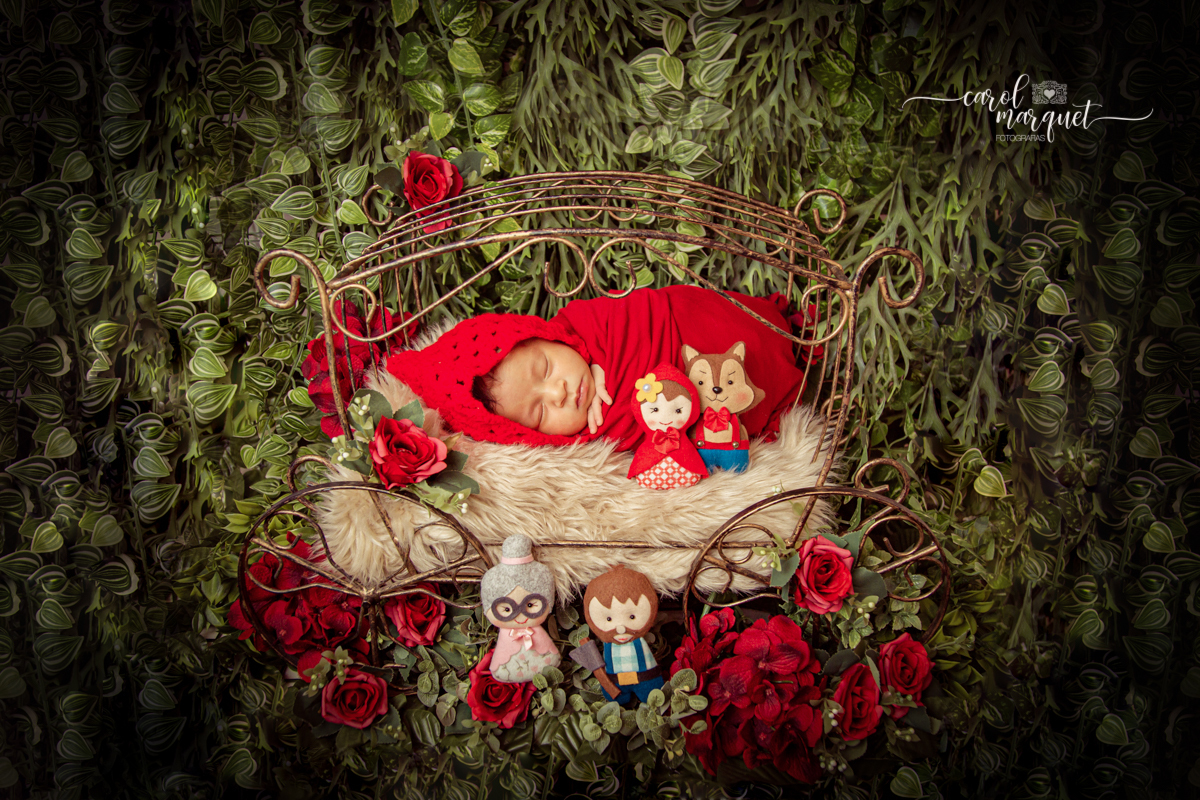 newborn recém nascido irmãos menina princesa flores floresta jardim autismo amigurumi chapeuzinho família Niterói Ensaio fotográfico alice no país das maravilhas chapeuzinho vermelho